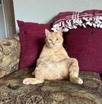Cody Steidinger - Facebook