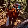 Stickney - @colt.stickney40 - TikTok