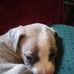 Cody Stjohn - Facebook