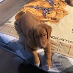 Cody - @toller_cody - Instagram