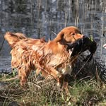 Sarah & Cody - @toller.cody - Instagram