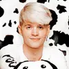 isabelle - @codys.storm - TikTok