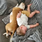 Cody Strack - @codystrack1 - Instagram
