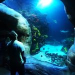 Cody Stringfellow - @cody_stringfell0w - Instagram
