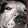Cody Stump709 - @codystump7 - TikTok