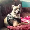 Cody Summerlin - @cody.summerlin - TikTok
