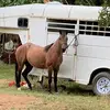 codysullins. - @cody.sullins - TikTok