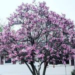 Cody Tabor - @cody.tabor - Instagram