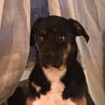 Cody Tackett - @cody_tackett_84 - Instagram