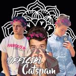 Cody | Anthony | Tanner - @officialcatspam - Instagram