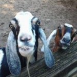 Cody Idontgettired Terrell - @coolinonthecouch420 - Instagram