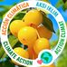 Godwin Tester Rich Code - Facebook