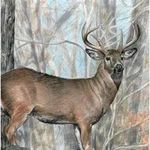 @cody.thayer_ - Instagram