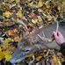 Cody Thayer - Facebook