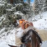 Cody Thieman - @codythieman - Instagram