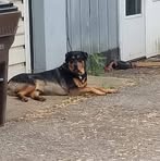 Cody Thorpe - Facebook