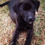 Cody Thrasher - @thrasher_cody - Instagram