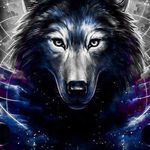 Cody Tieman - @tieman.cody - Instagram