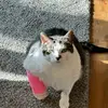 Scrimzz - @cody.tieman - TikTok