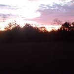 Cody Tilson - @tilson.cody - Instagram