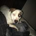 Cody Tilson - Facebook