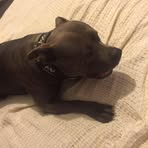 Cody Tinkle - Facebook
