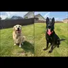 Cody Thacker - @cody.thacker - TikTok