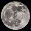 codytracy349 - @codytracy349 - TikTok