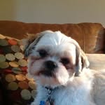 Cody Trahan - @codytrahan7 - Instagram