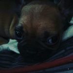 Codyvasquez - @codyvasquez3110 - Instagram