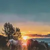 codyvincent135 - @codyvincent135 - TikTok