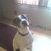 Cody Wanner - Facebook