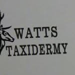 Cody Watts - @codywatts27 - Instagram