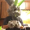 Cody Watts - @cody_watts - TikTok