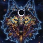 Cody Weaver - @cody.weaver.7583 - Instagram