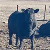 Cody weaver - @codyweaver99 - TikTok