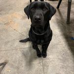 Cody Wenzel - @codywenzel55 - Instagram