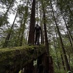 Cody Wheatley-Bigrigg - @c.wheat47 - Instagram