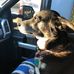 Cody Dean Wiggins - Facebook