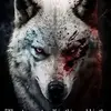 Cody wilder - @ironwolf4813 - TikTok