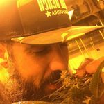 Cody Wiley - @2wild4yourmom - Instagram