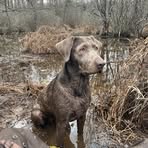 Cody Winstead - Facebook