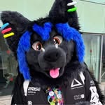 Cody Wolf - Wolfy - @wolfytheblackwolf - Instagram
