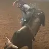 Cody Norseworthy - @cody.norseworthy - TikTok