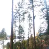 codyhackworthy - @codyhackworthy - TikTok