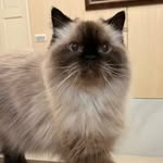 Cody - @cody_yawnn - Instagram