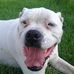 Connie Auker - Facebook