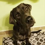 Cola Brown - @andcolatoo - Instagram