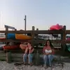cola ✿❁ - @nicola.johnsonn - TikTok