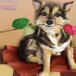 Cola Johnson - @cola.johnson.5 - Instagram